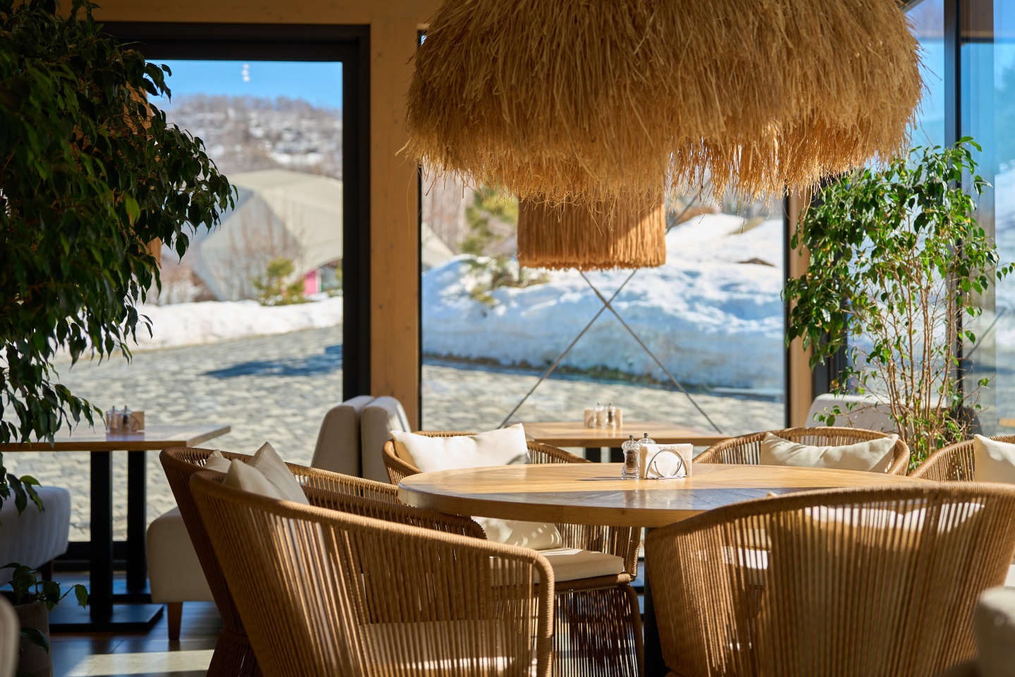 Алтай Пэлас - фото 149