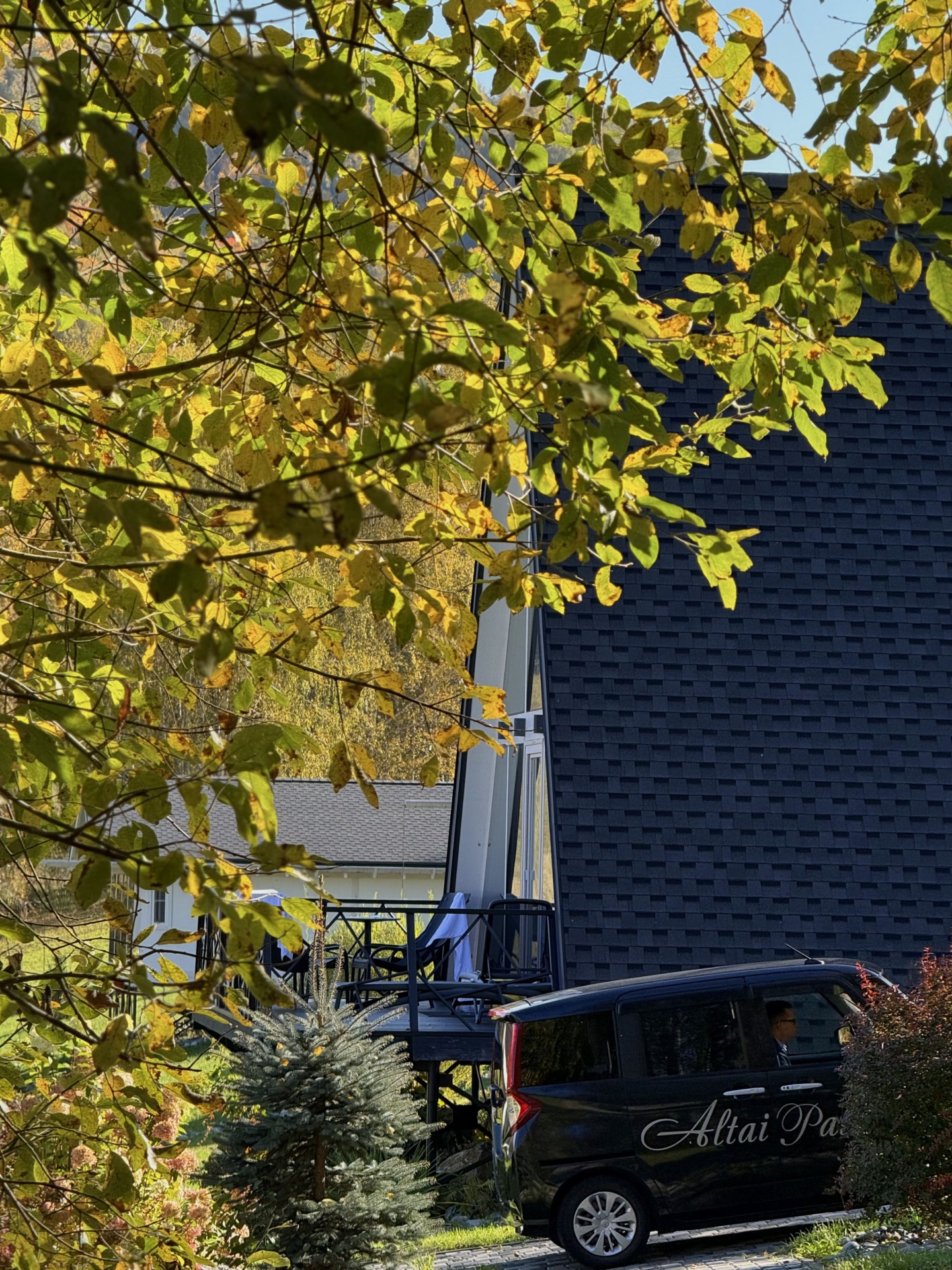 Алтай Пэлас - фото 157