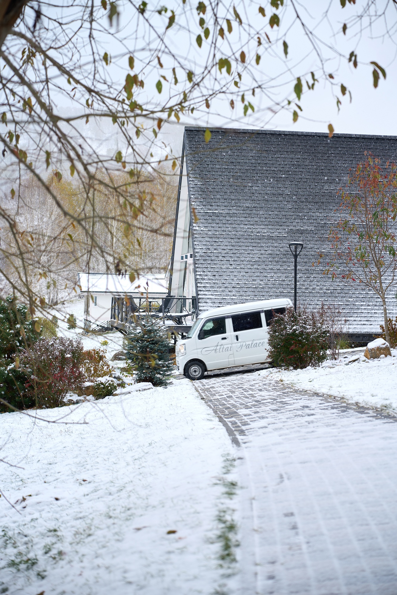 Алтай Пэлас - фото 158