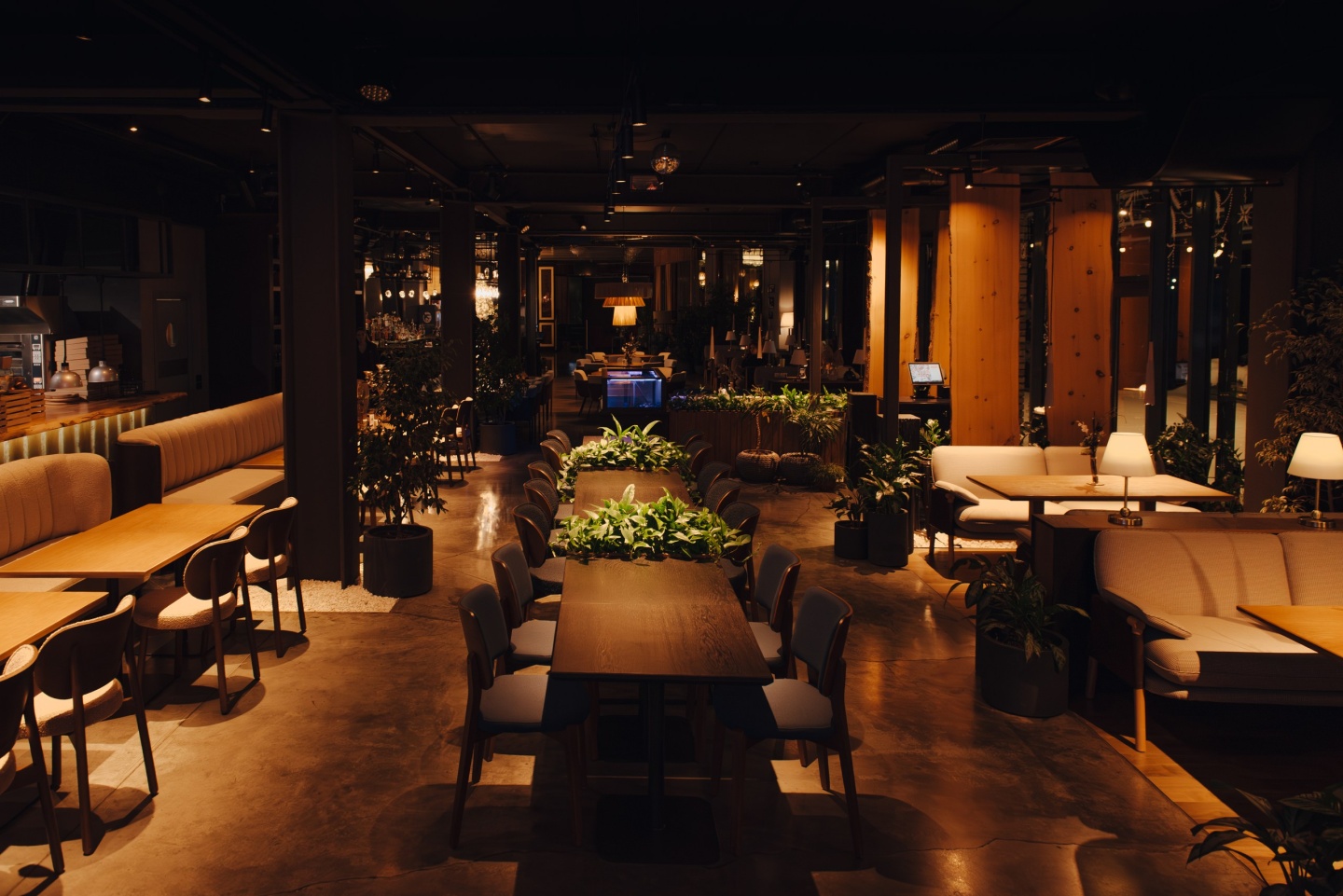 Алтай Пэлас - фото 161