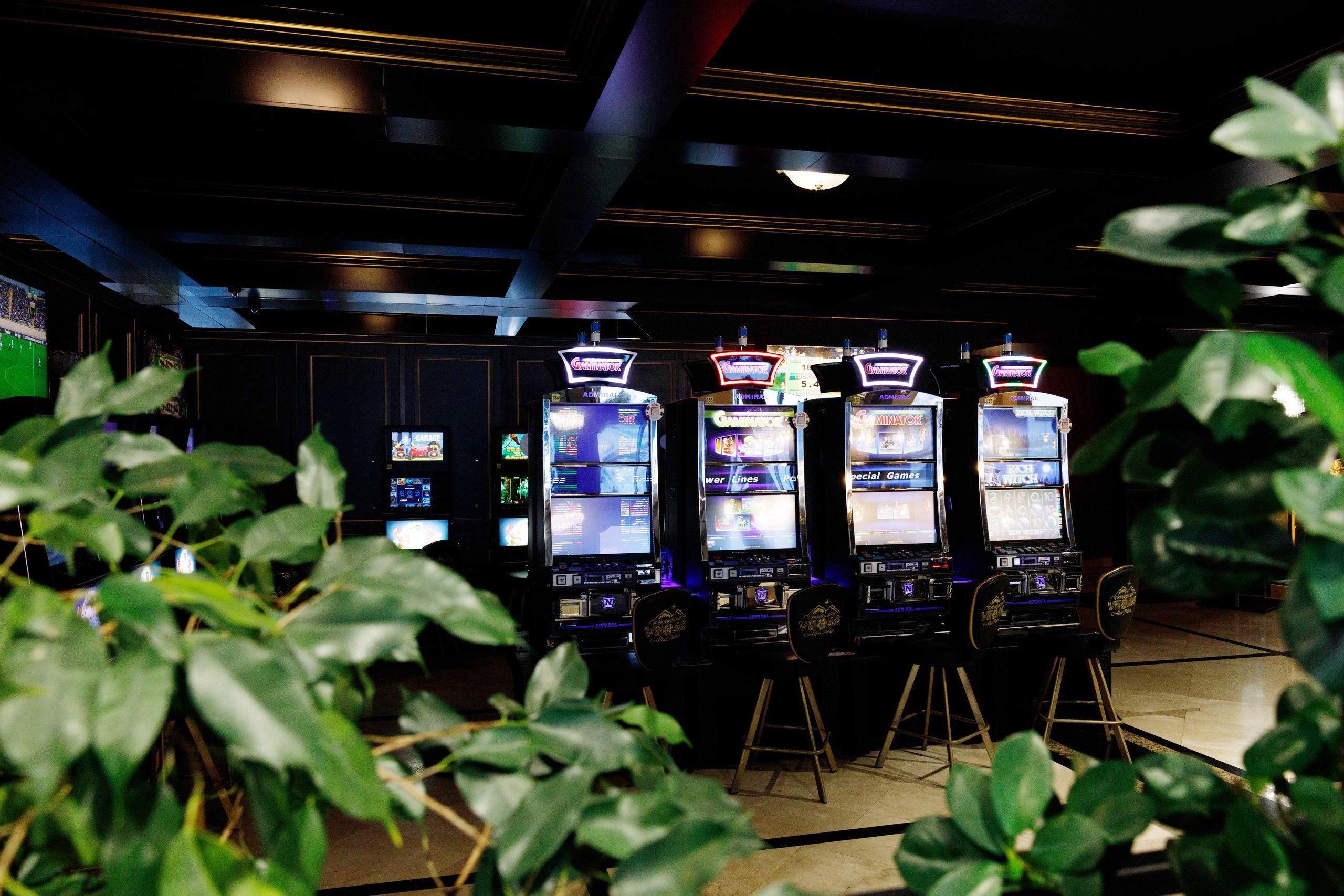 Алтай Пэлас - фото 164