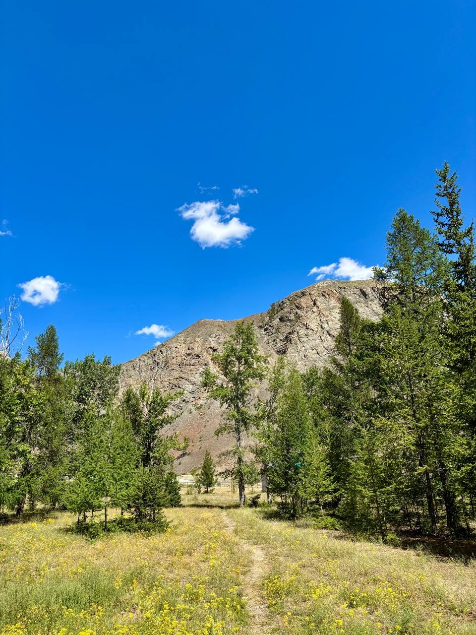 Софийская поляна - фото 16