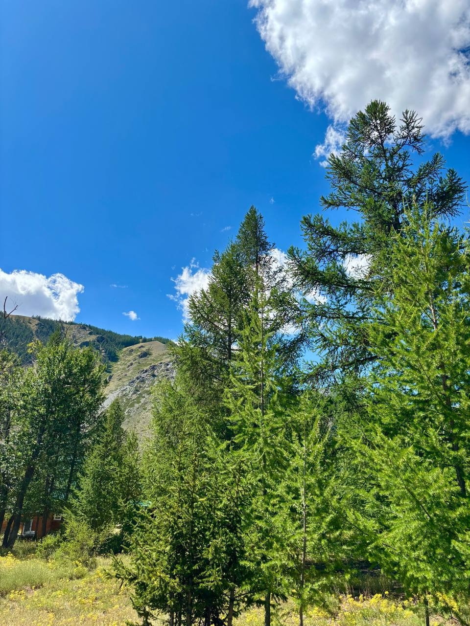 Софийская поляна - фото 18