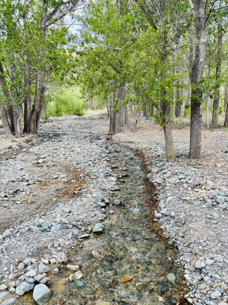 Трёхместный домик - фото 12