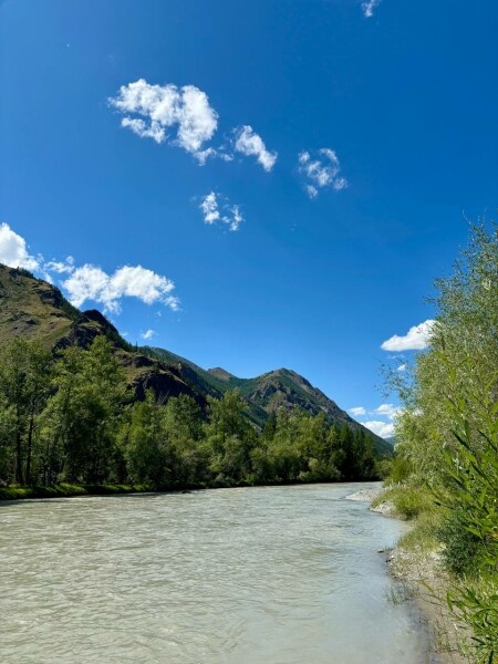 Двухместный Стандартный номер с 2 односпальными кроватями - фото 9