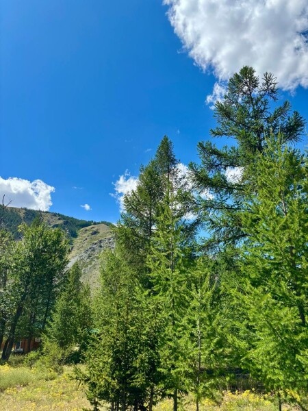 Двухместный домик - фото 14