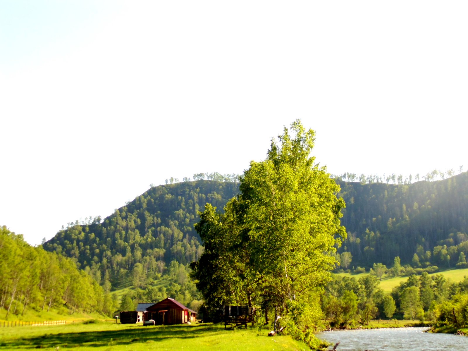 Чедоев Привал - фото 6