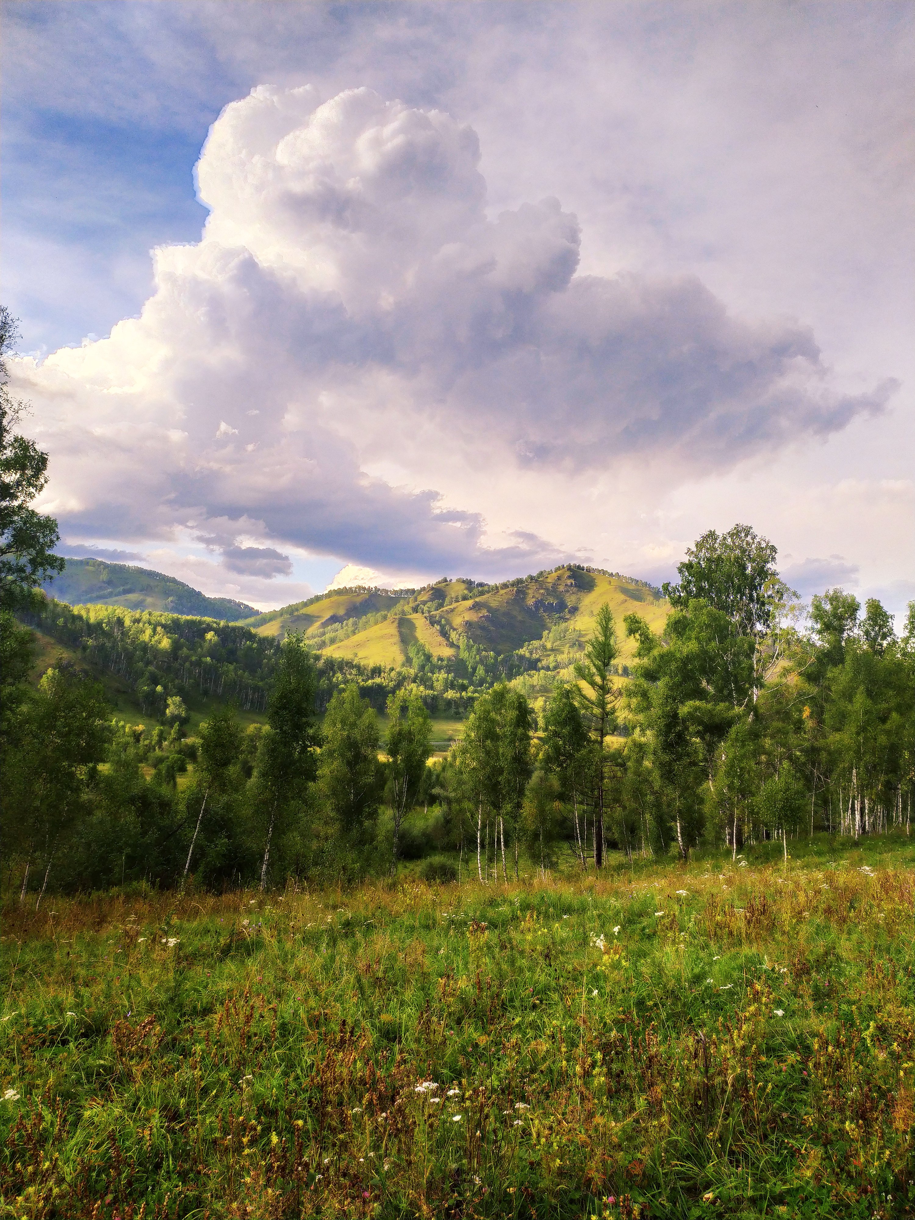 Чедоев Привал - фото 7
