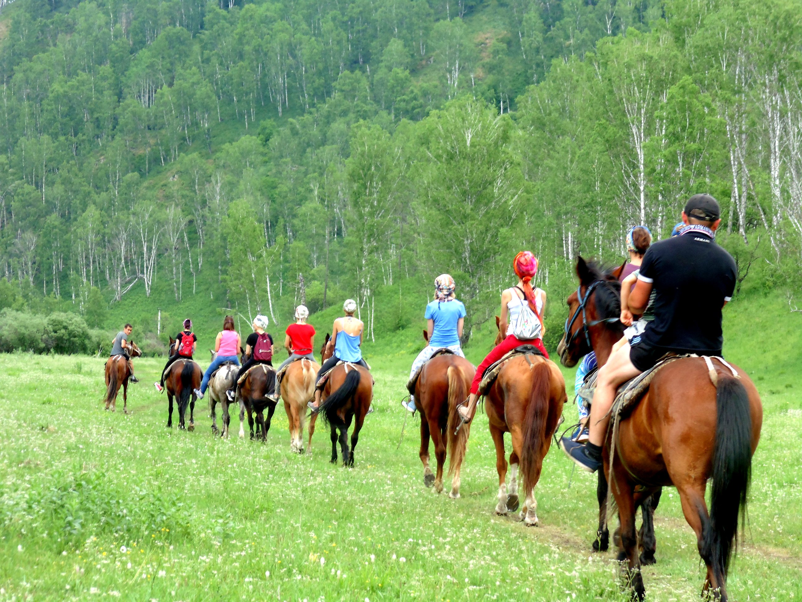 Чедоев Привал - фото 16