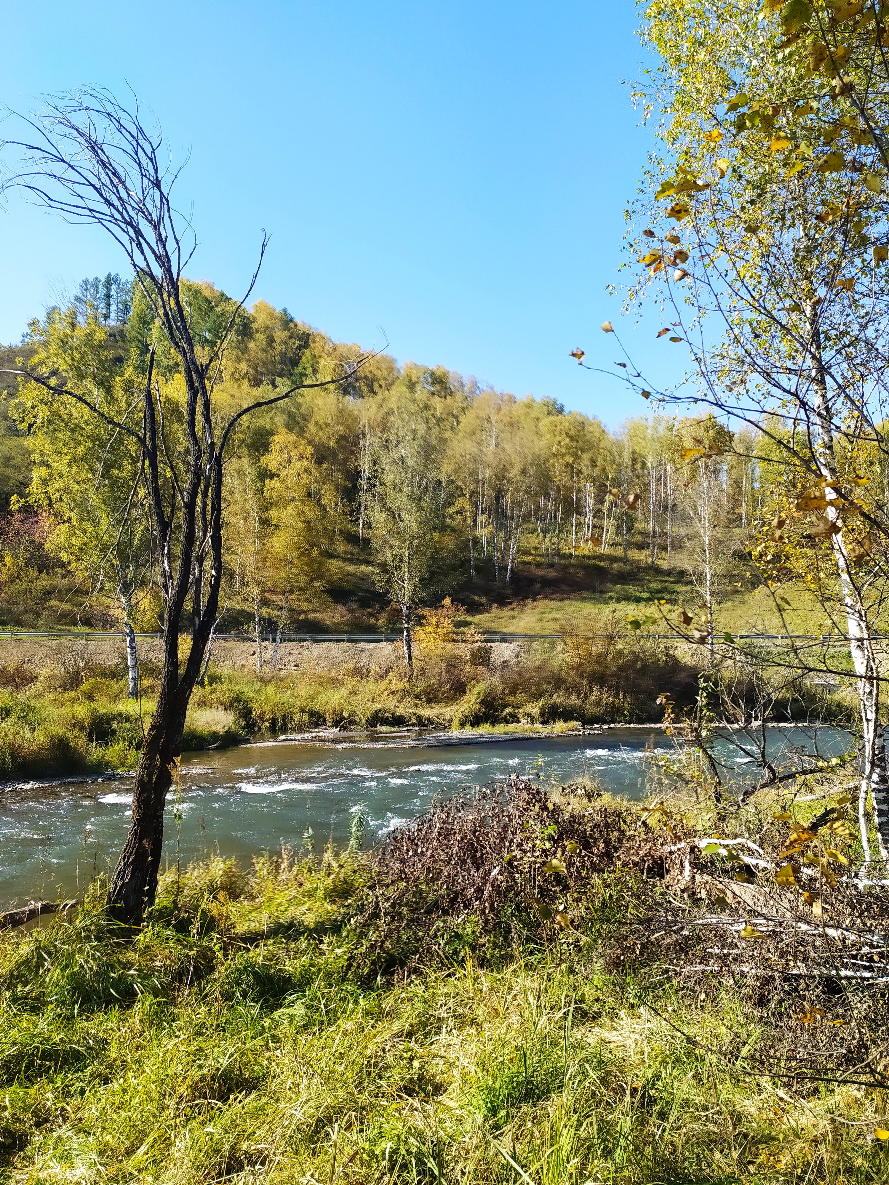 Чедоев Привал - фото 17