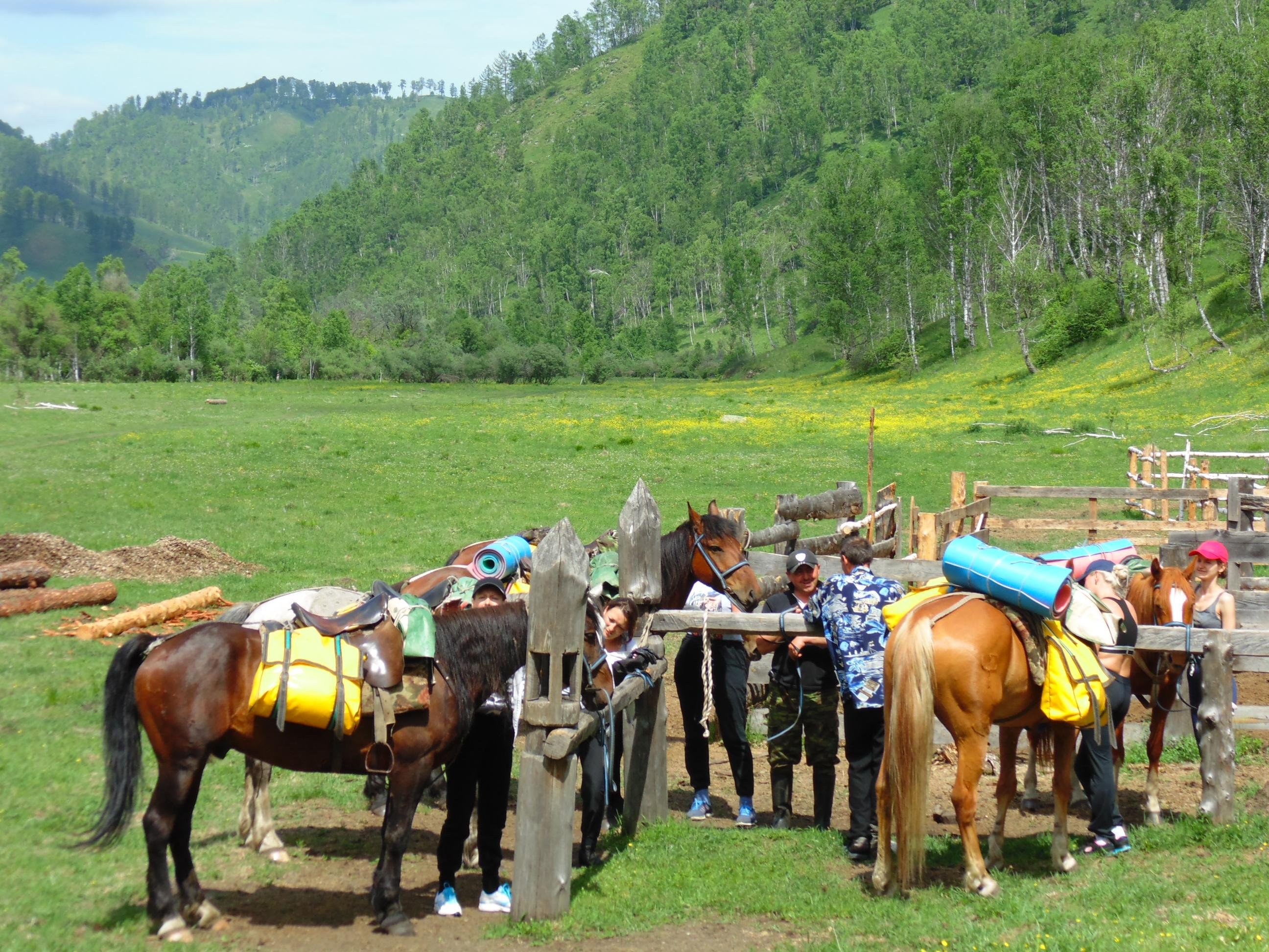 Чедоев Привал - фото 22