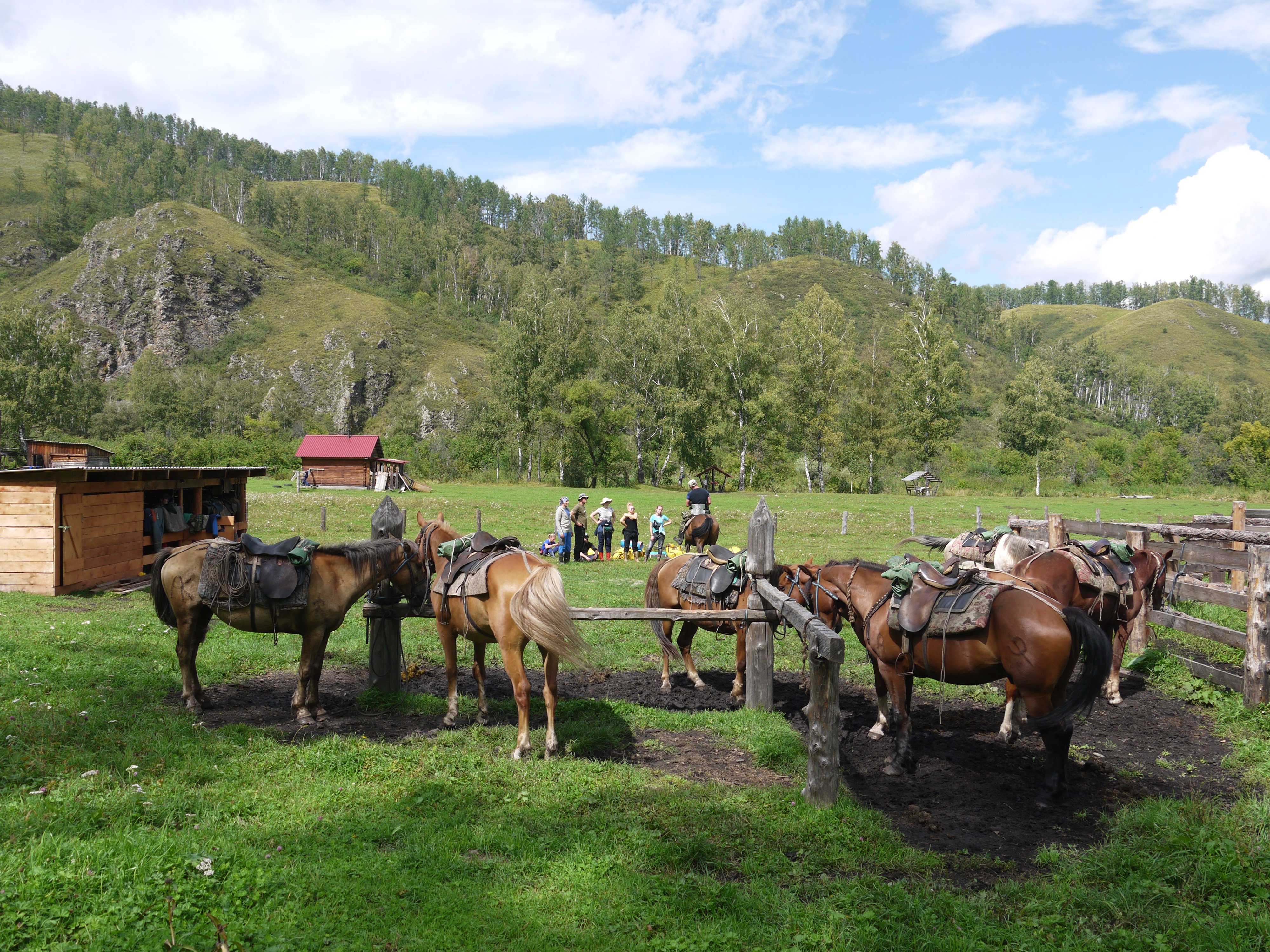 Чедоев Привал - фото 24