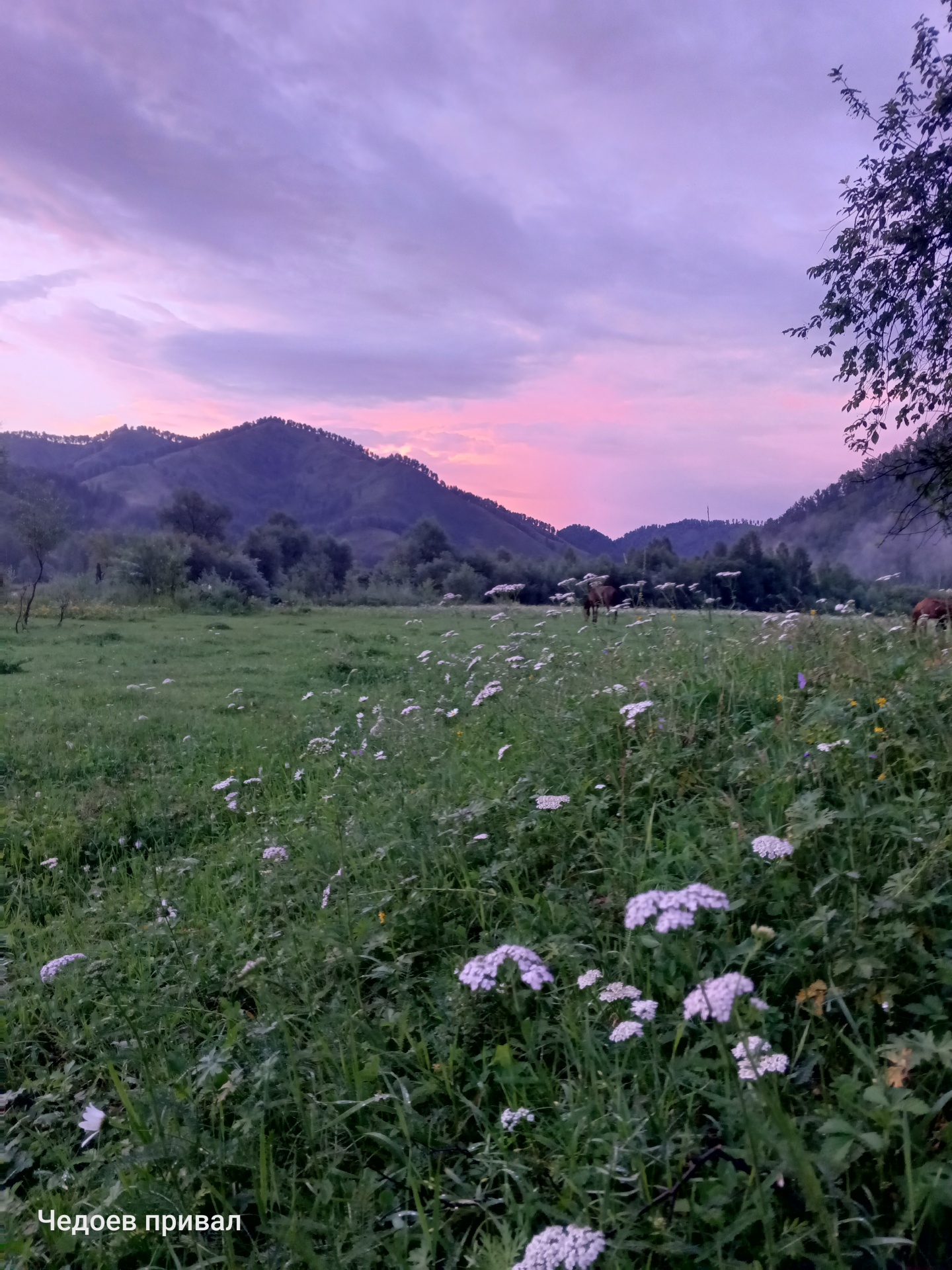Чедоев Привал - фото 38