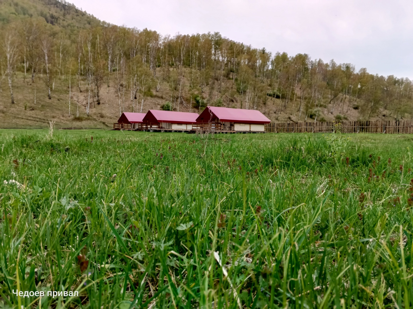 Чедоев Привал - фото 42