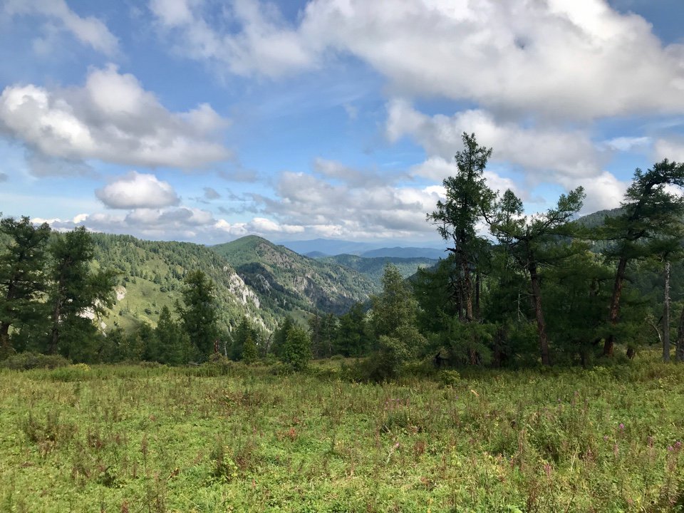 Чедоев Привал - фото 47