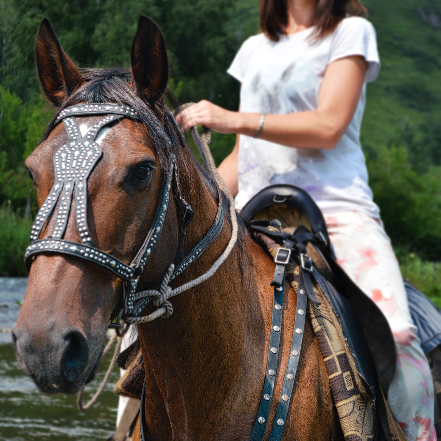 Чедоев Привал - фото 49