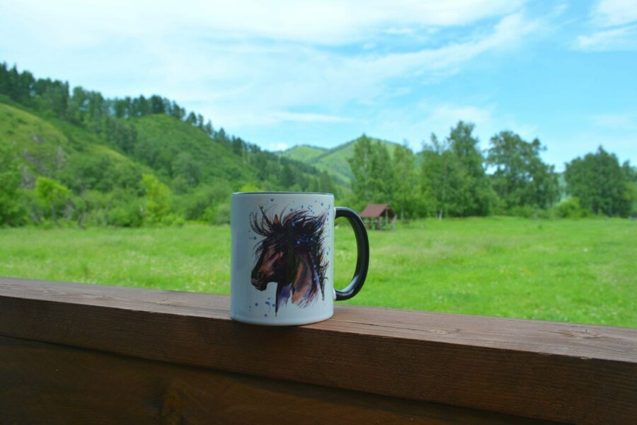 Глэмпинг 3 места - фото 7