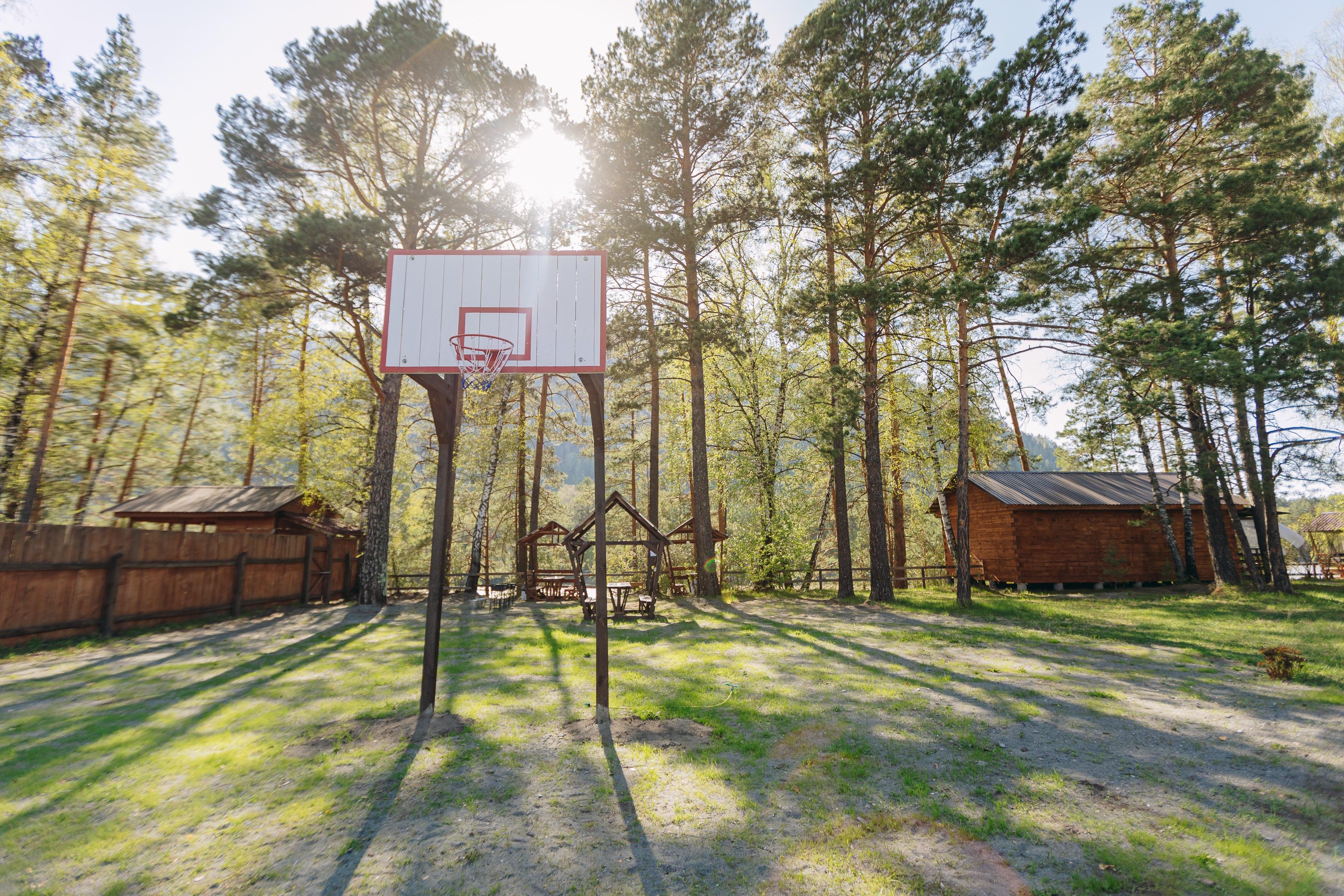 Алтай берег - фото 18