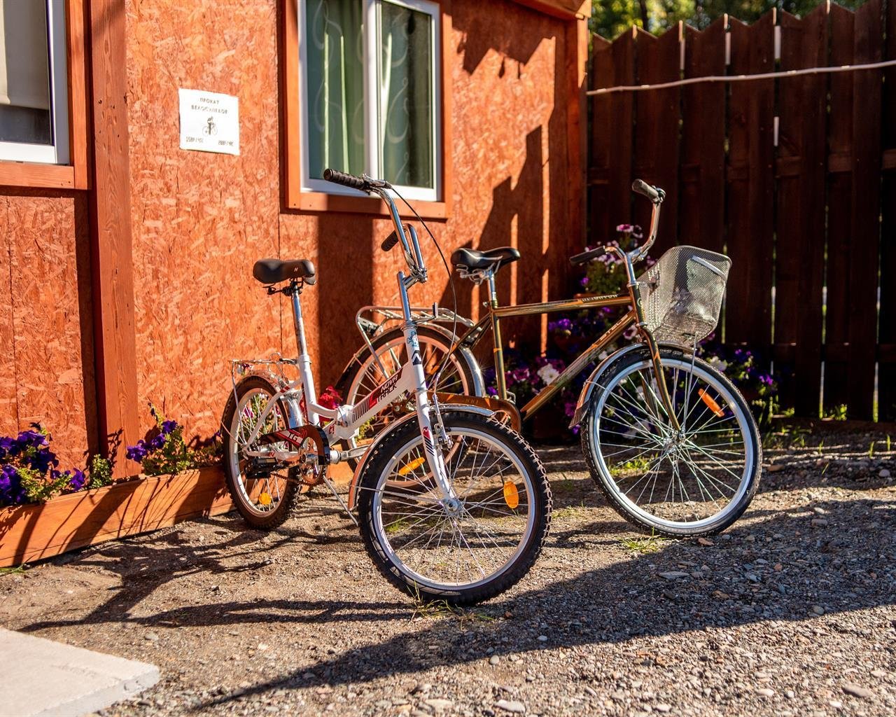 Алтай берег - фото 24