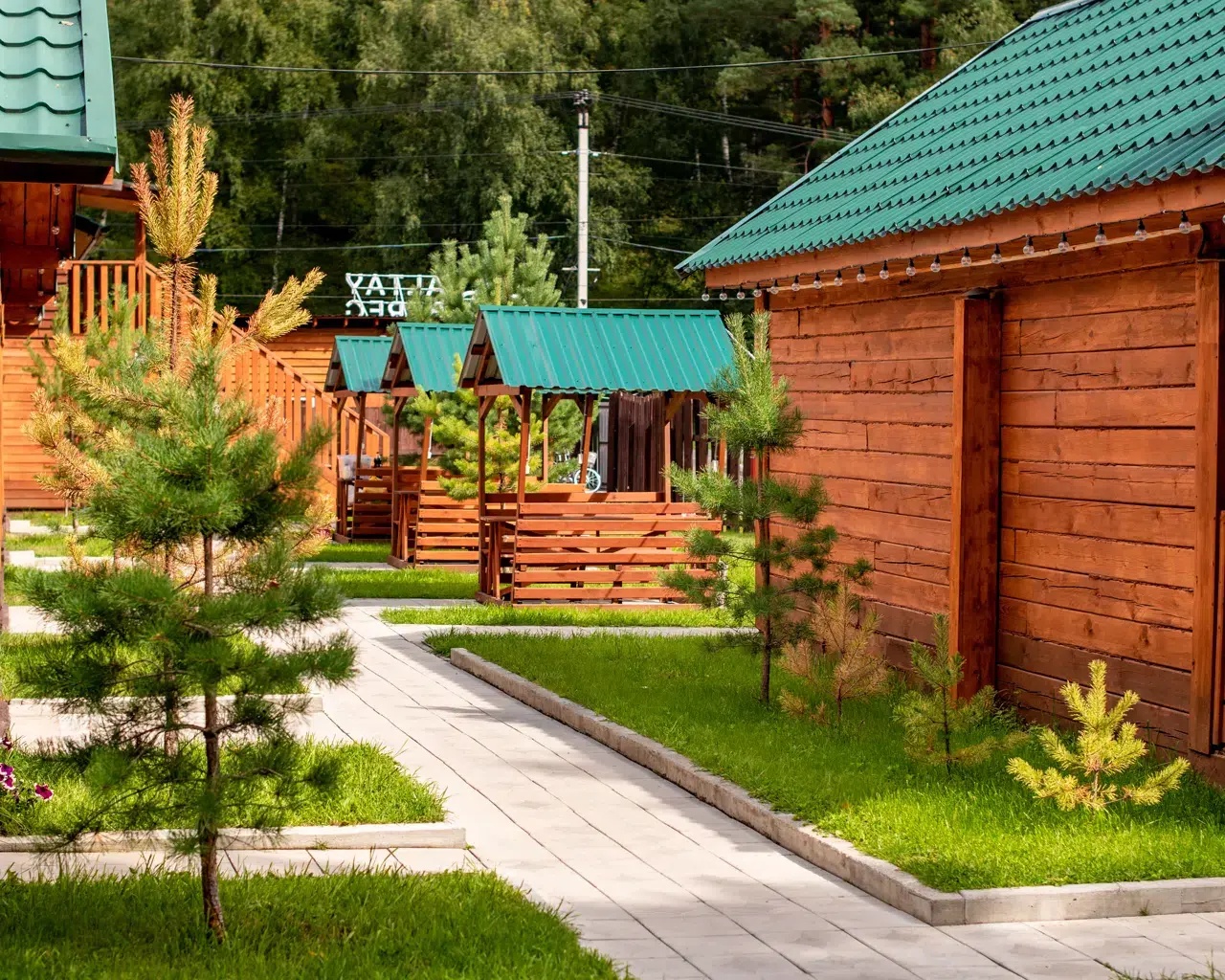 Алтай берег - фото 27