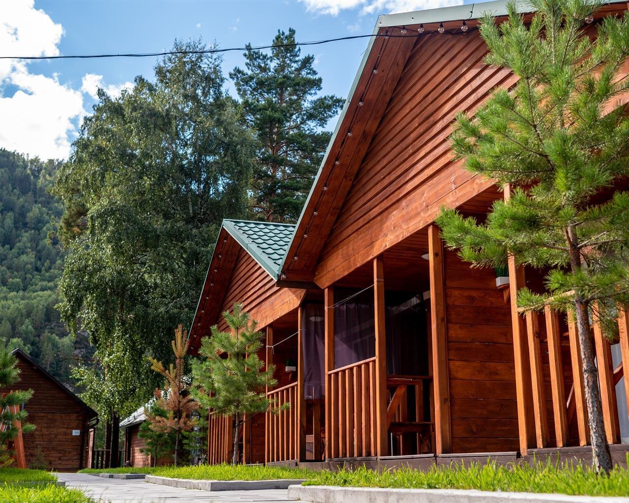 Алтай берег - фото 33