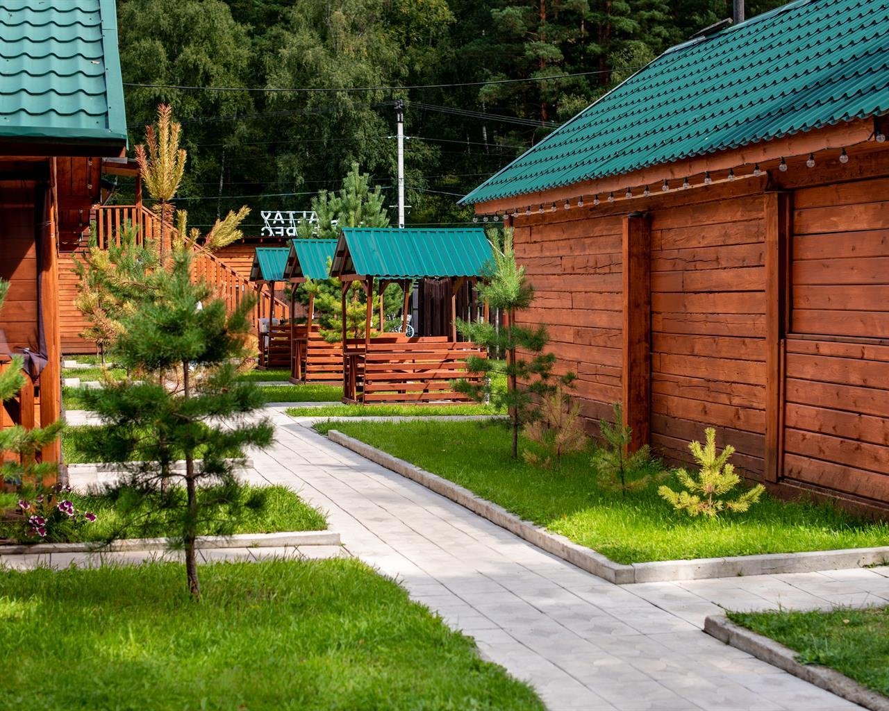 Алтай берег - фото 34