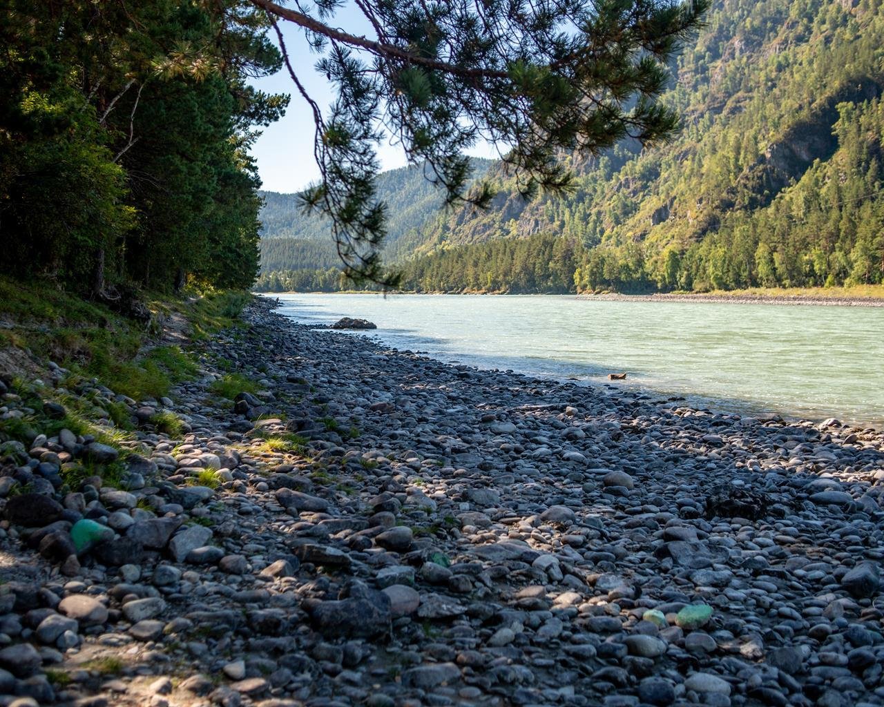 Алтай берег - фото 39