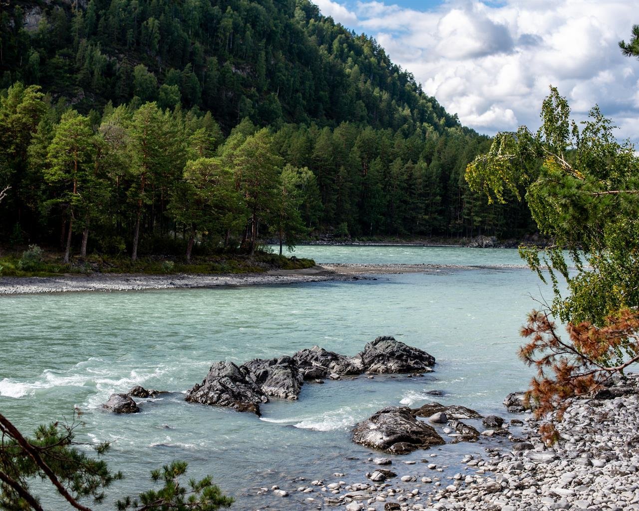 Алтай берег - фото 41