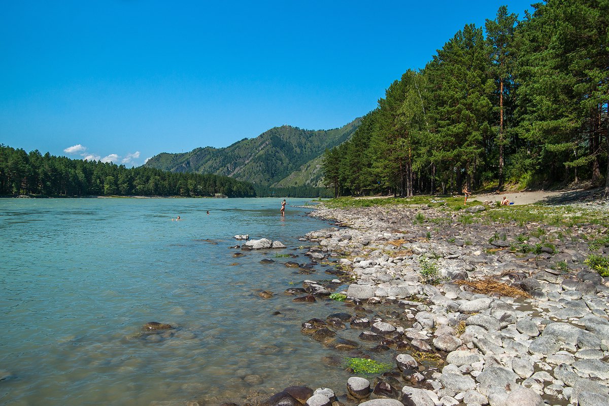Алтай берег - фото 43