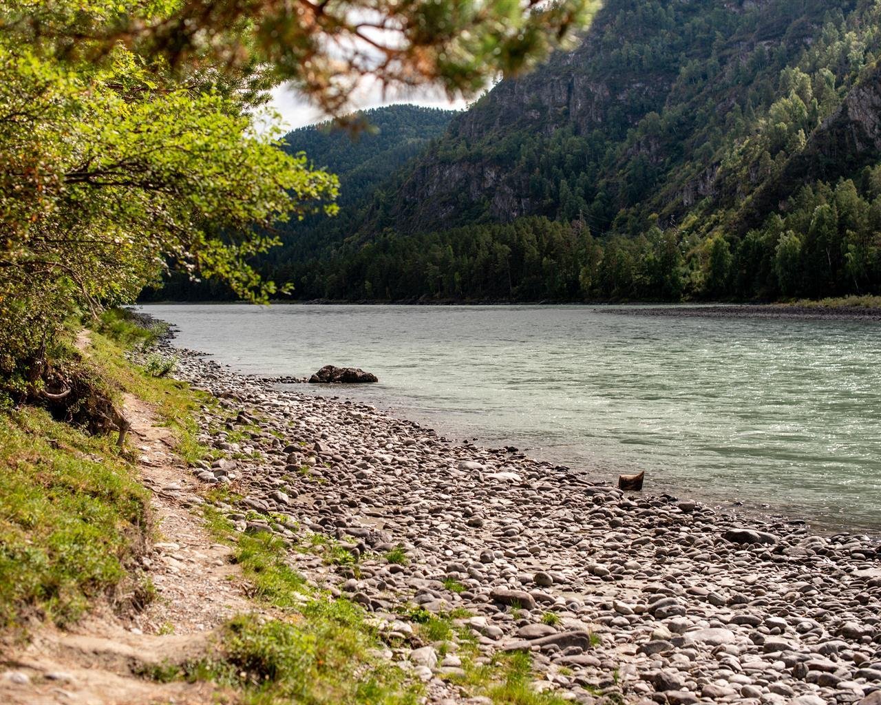 Алтай берег - фото 47