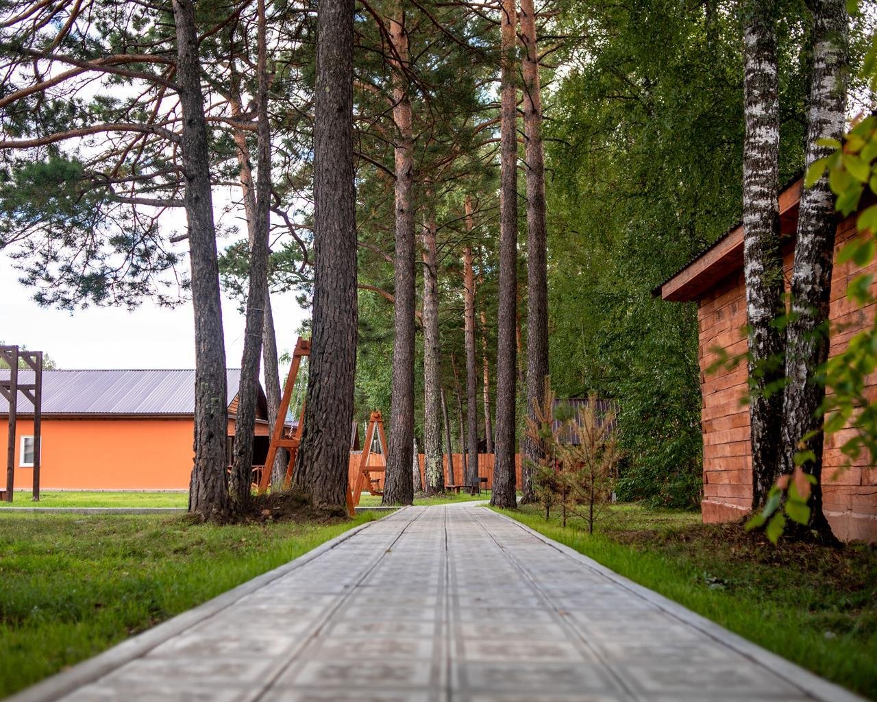Алтай берег - фото 58