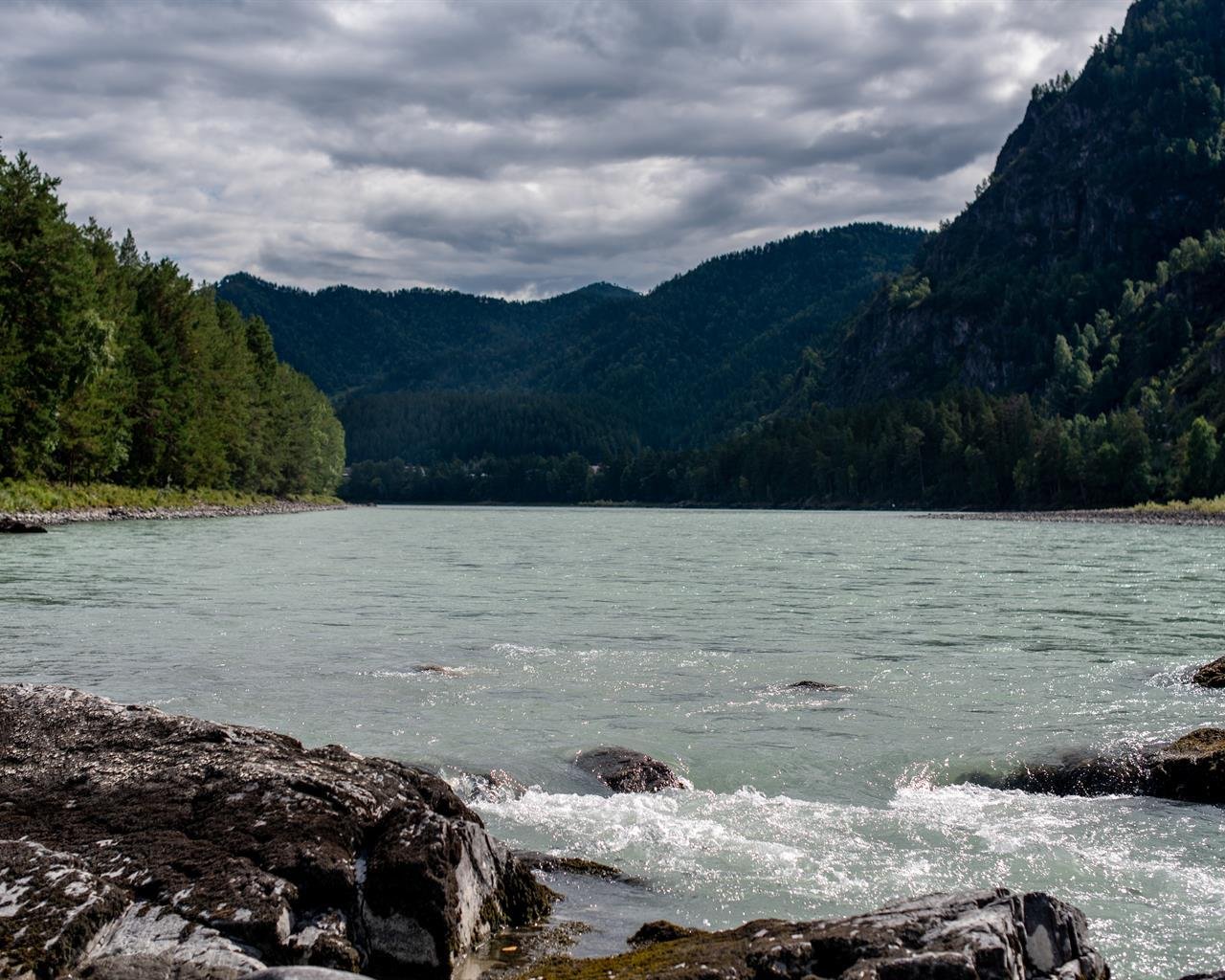Алтай берег - фото 59