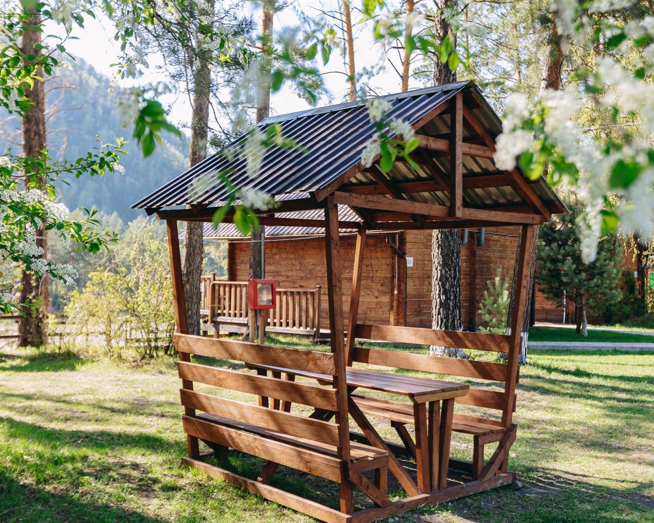 Алтай берег - фото 61