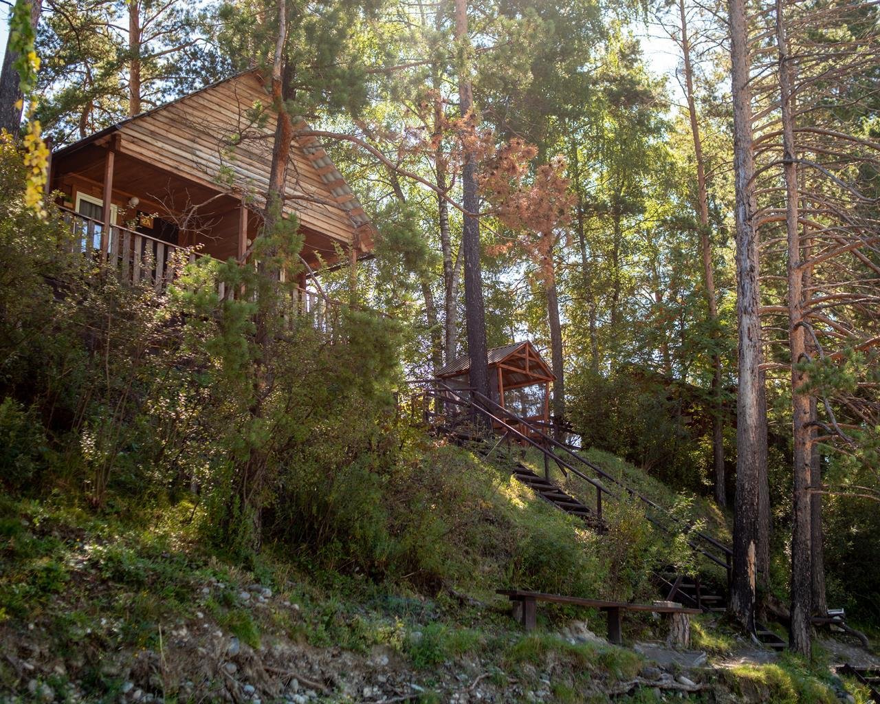 Алтай берег - фото 63