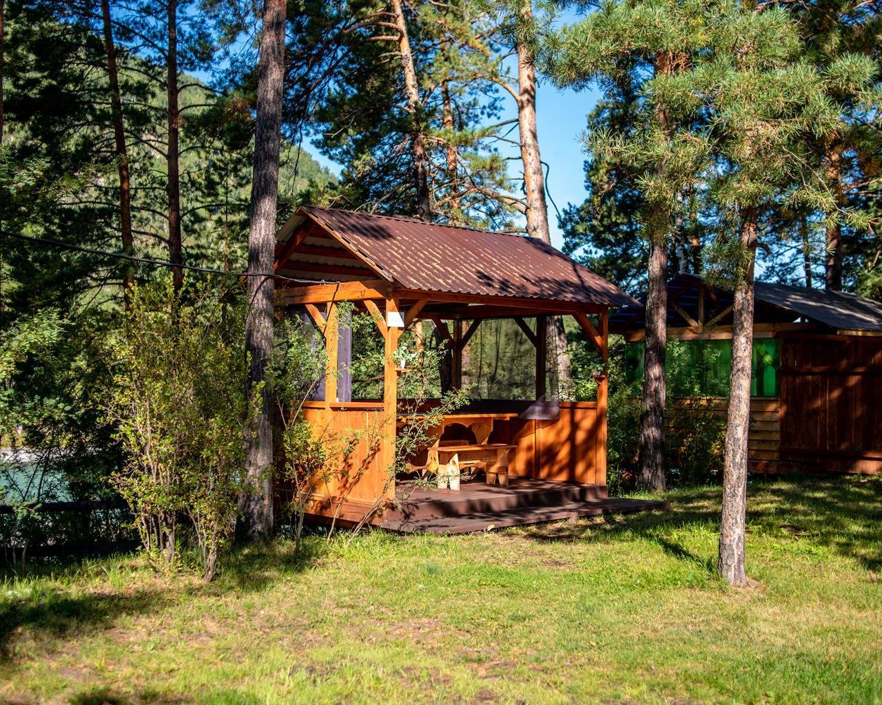 Алтай берег - фото 65