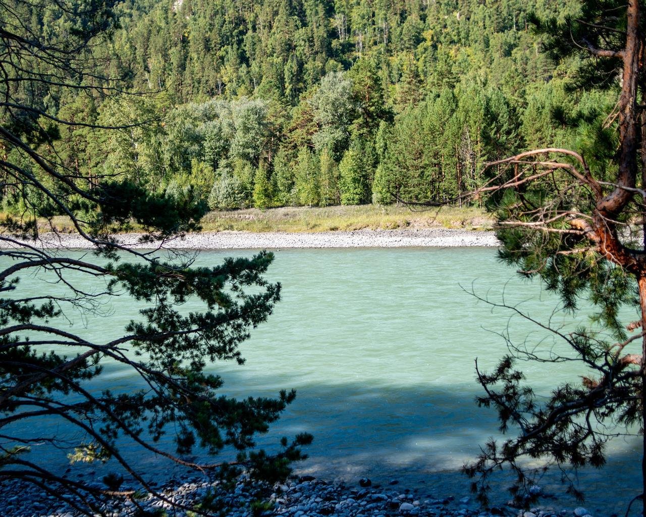 Алтай берег - фото 77