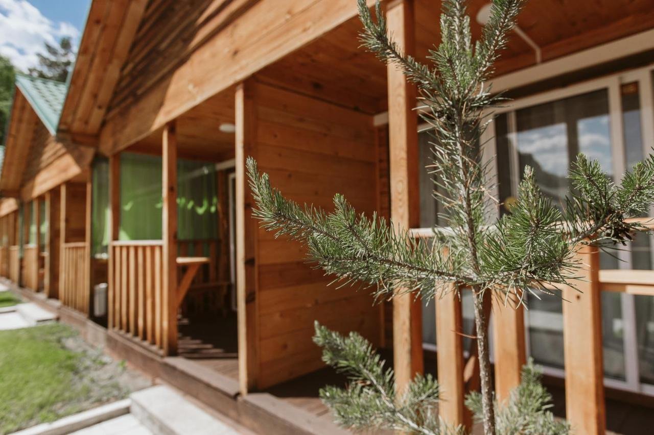 Алтай берег - фото 82