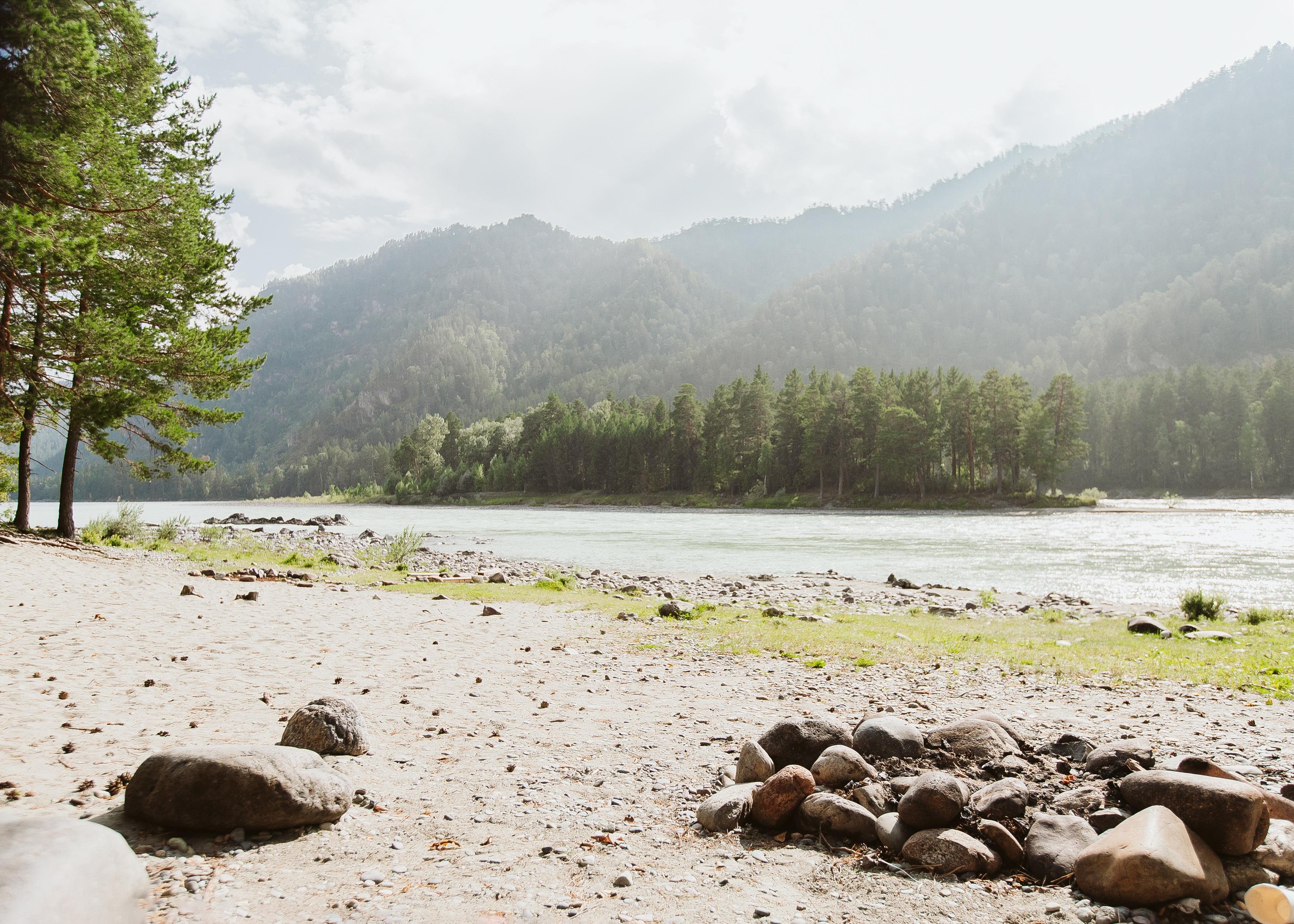 Алтай берег - фото 84