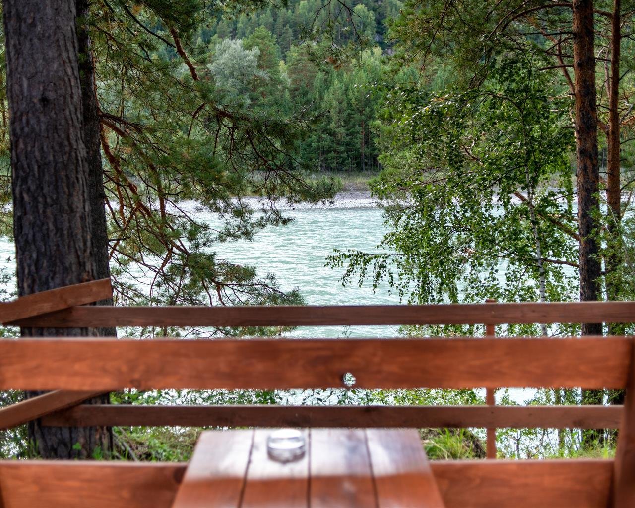 Алтай берег - фото 88