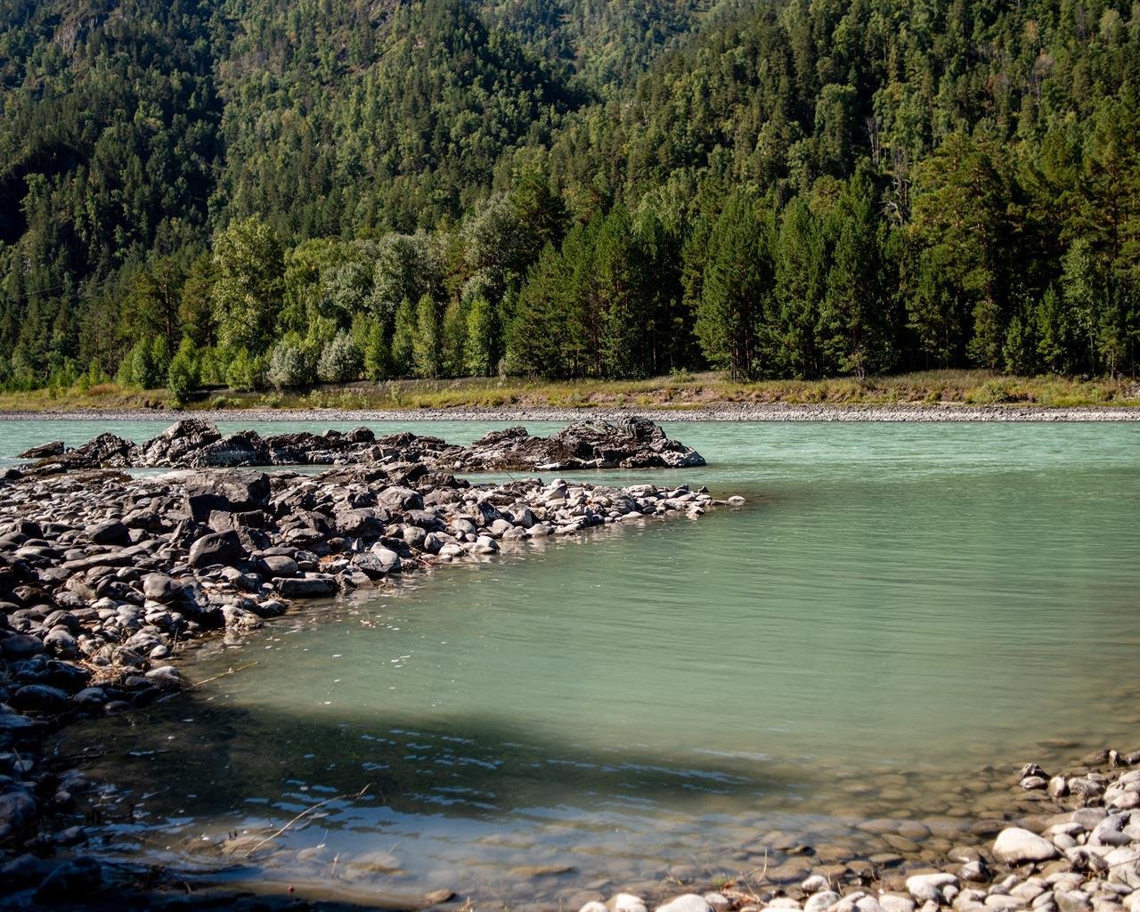 Алтай берег - фото 90