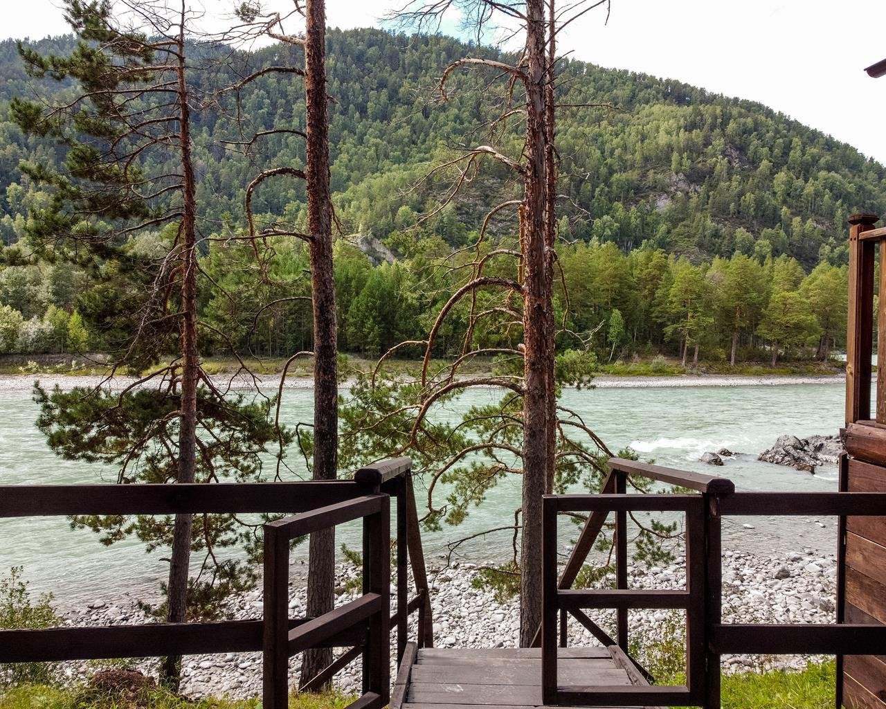 Алтай берег - фото 91