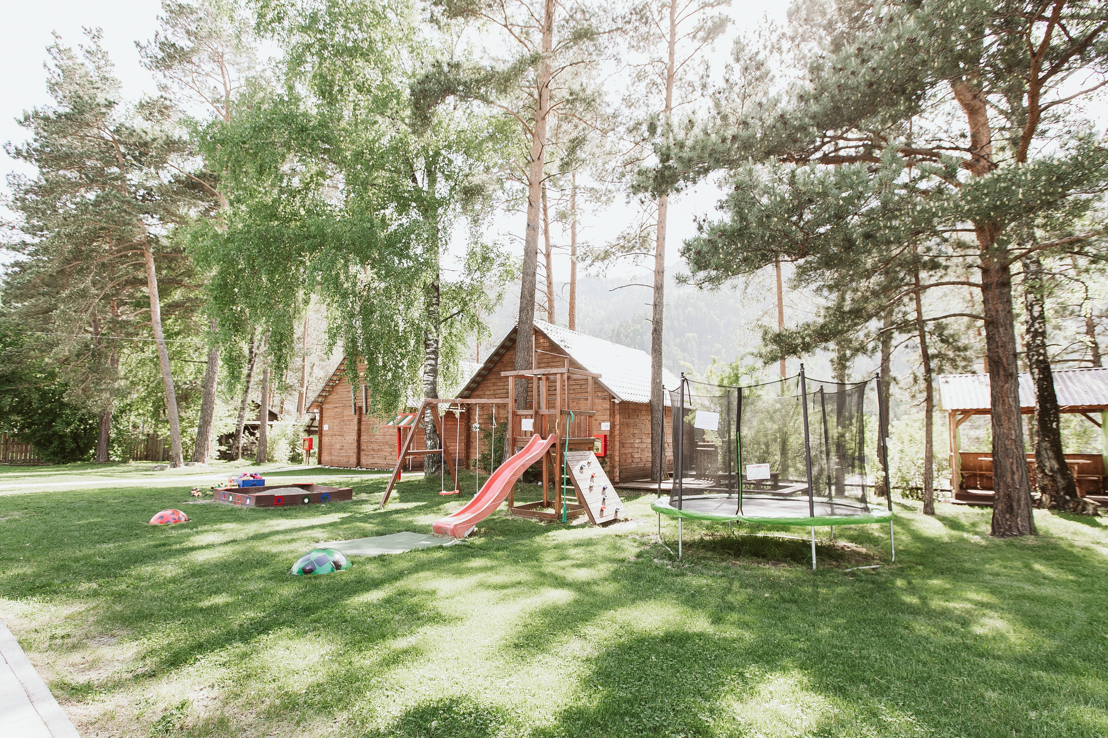 Алтай берег - фото 93