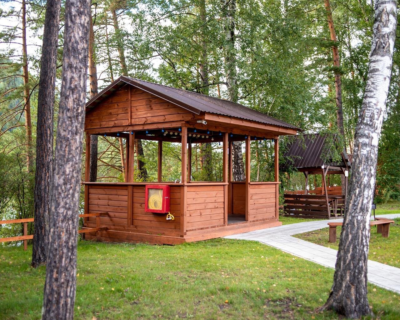 Алтай берег - фото 95