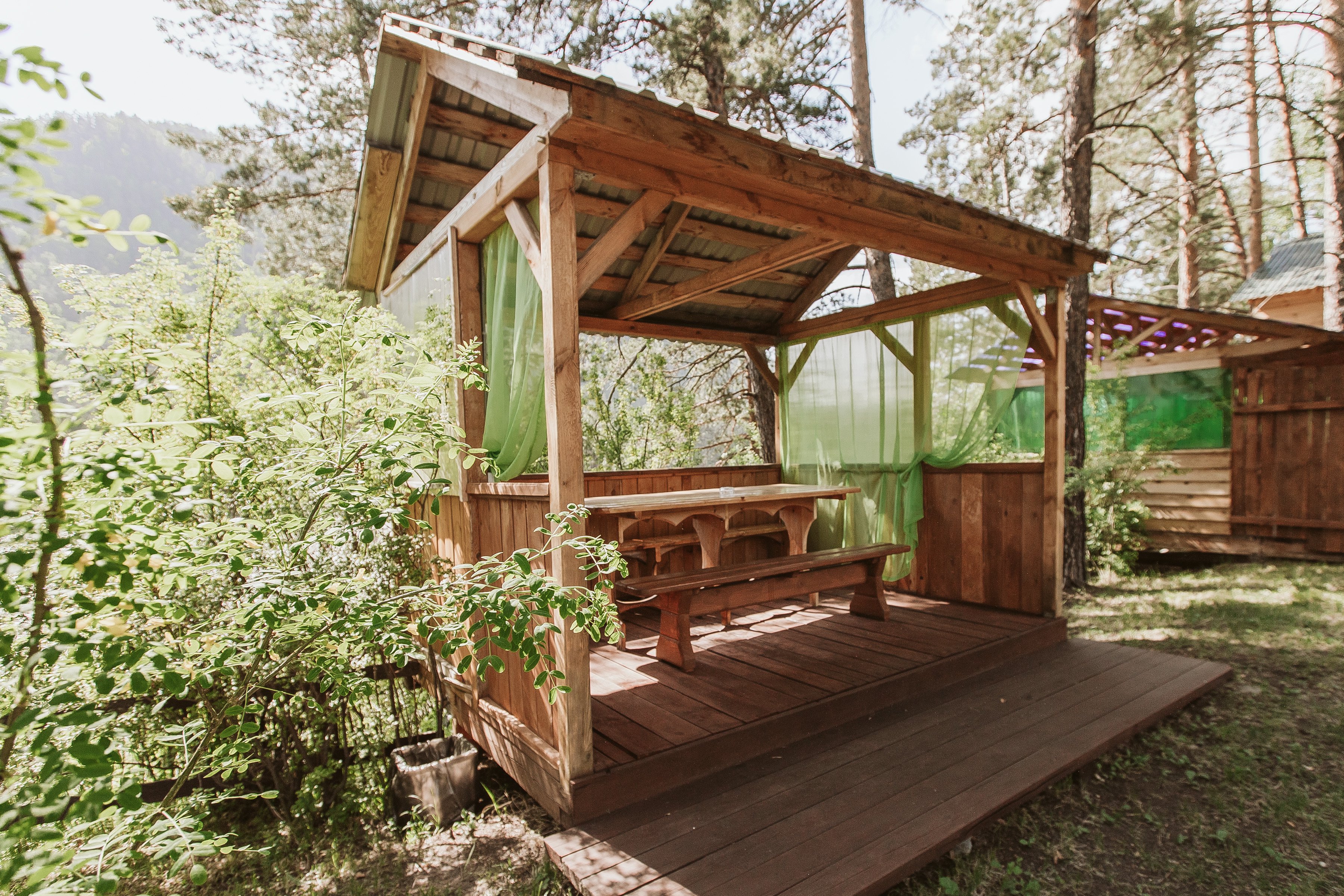 Алтай берег - фото 96