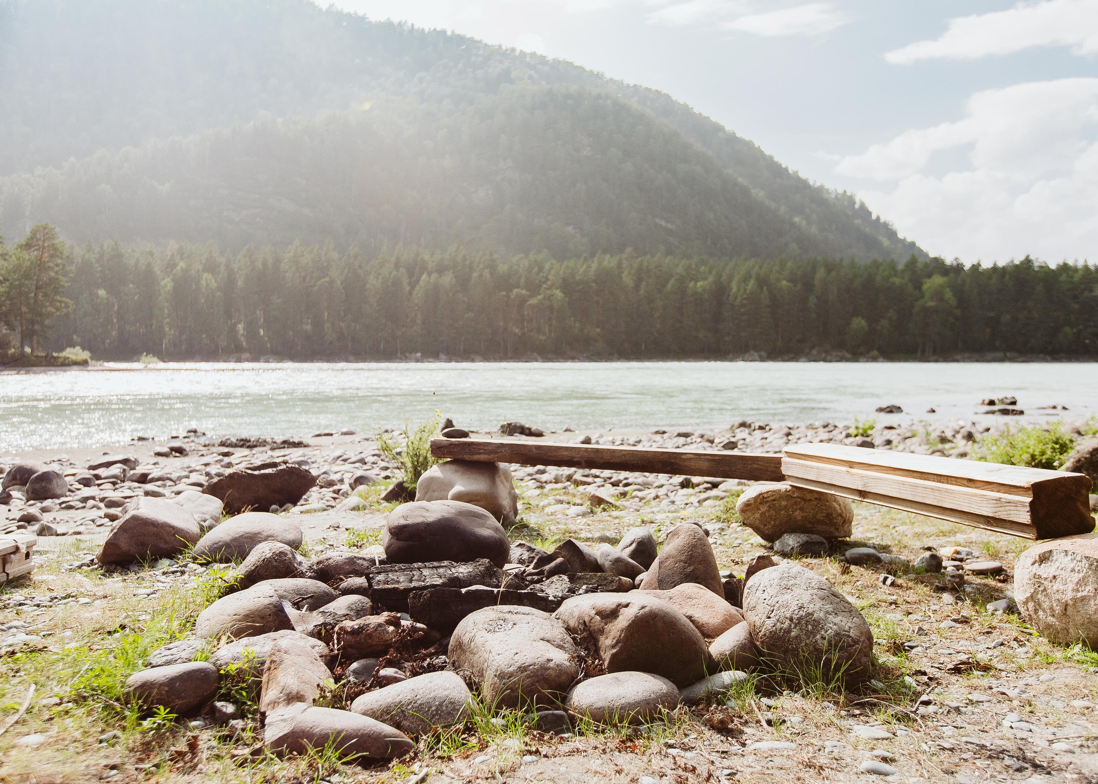 Алтай берег - фото 99