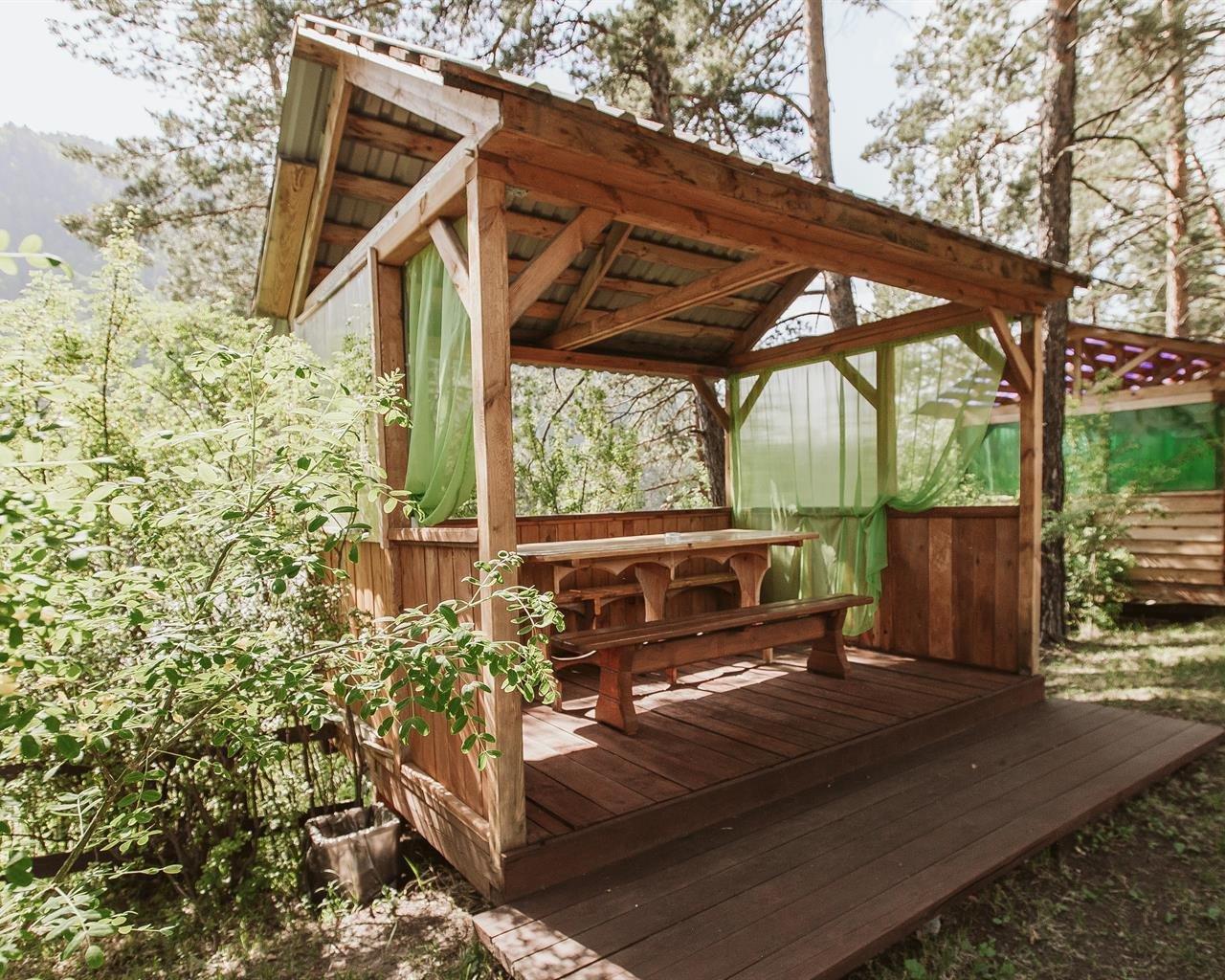 Алтай берег - фото 102