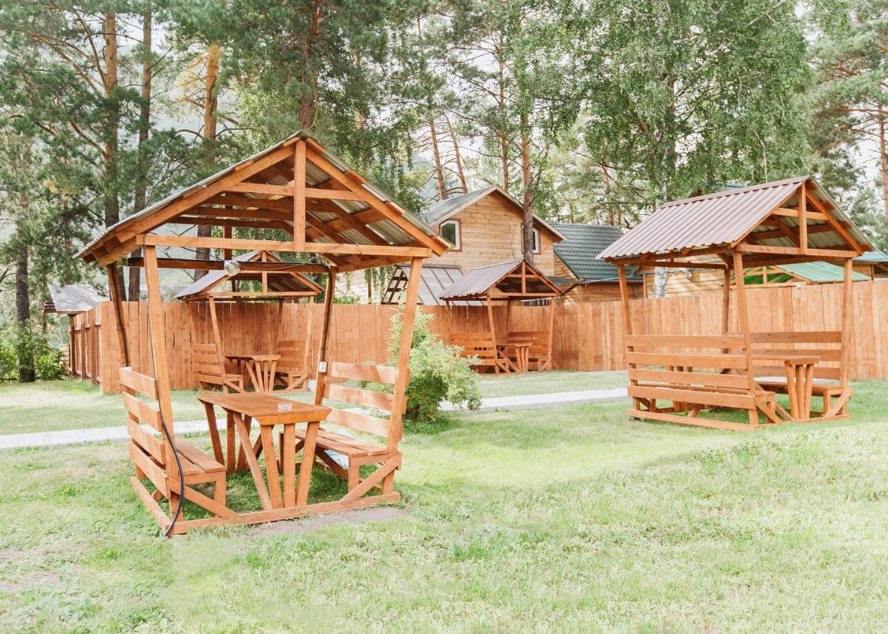 Алтай берег - фото 107