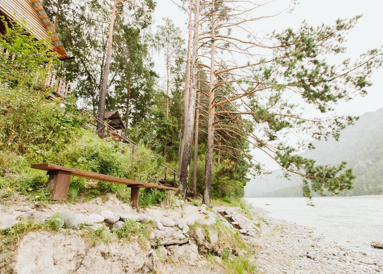 Алтай берег - фото 108