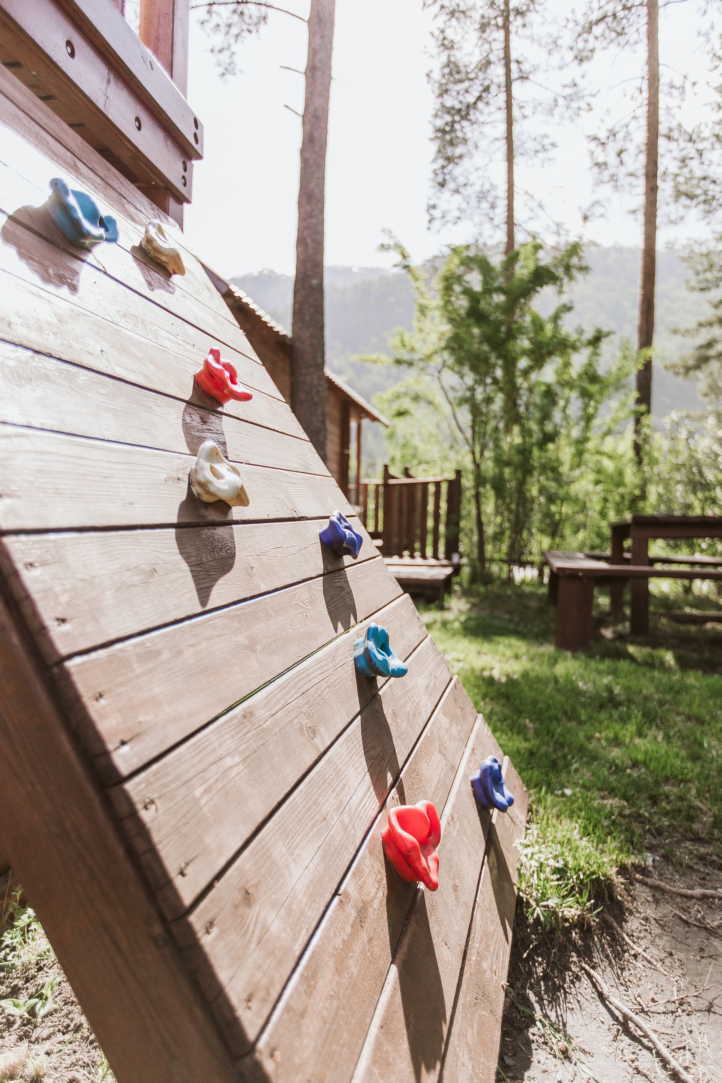 Алтай берег - фото 116