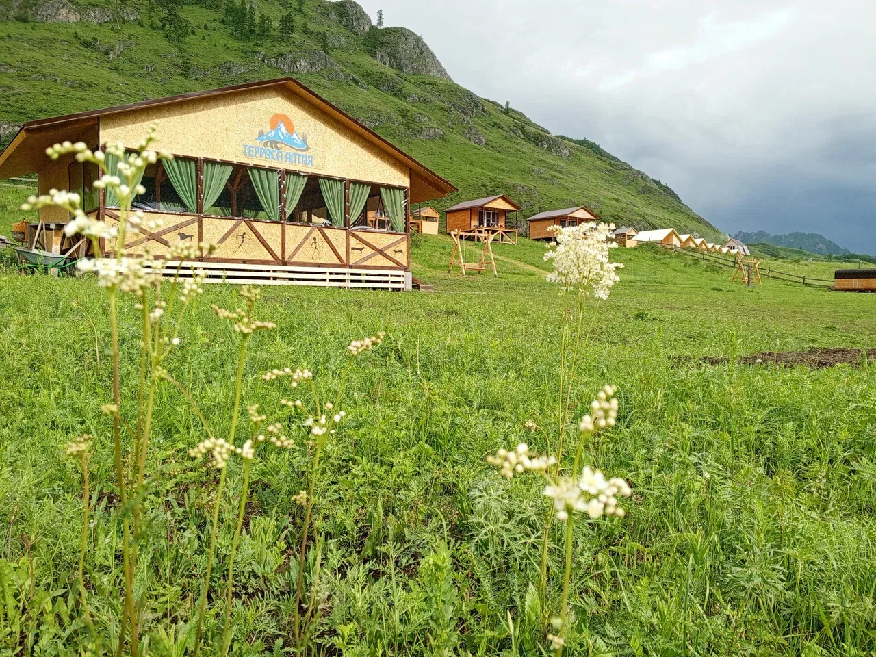 Терраса Алтая - фото 2